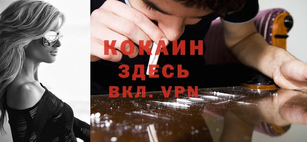 стафф Алексин