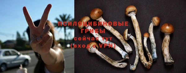 МДМА Новодвинск