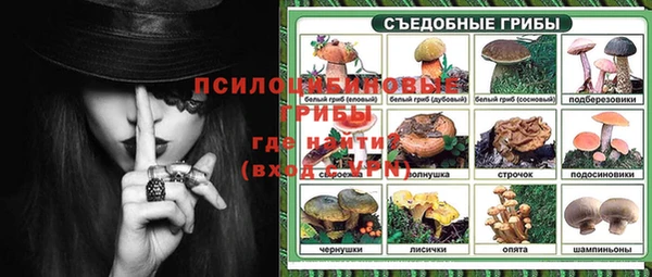 дживик Алексеевка