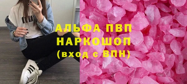 стафф Алексин