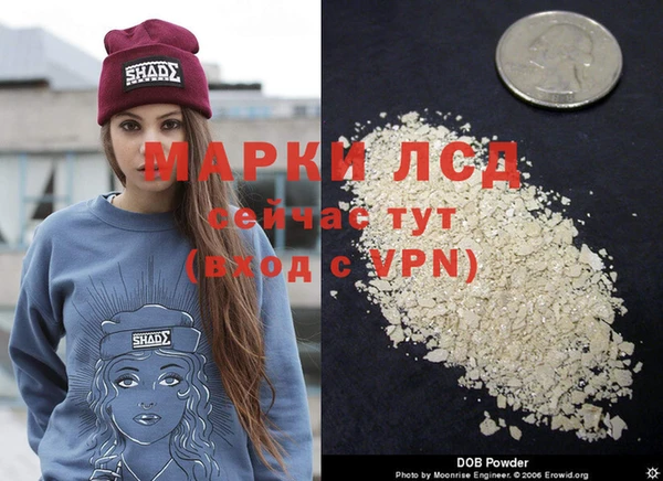 кокс Алзамай