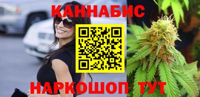 ешки Новодвинск