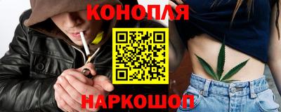 ешки Новодвинск