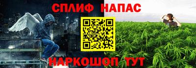 ешки Новодвинск