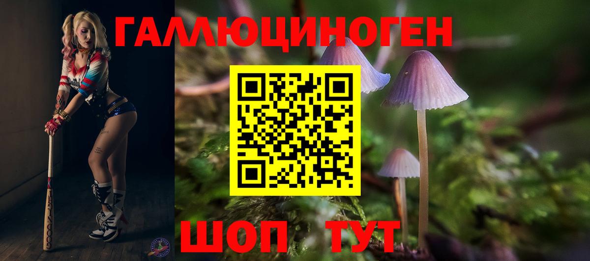 Галлюциногенные грибы GOLDEN TEACHER Чусовой