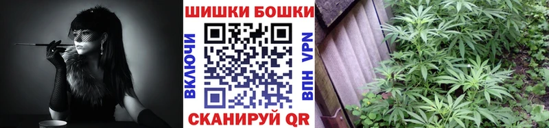 где купить наркоту  Чусовой  Бошки марихуана ГИДРОПОН 